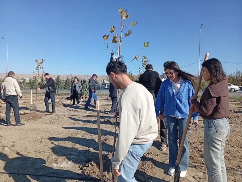 MDU tələbələri Mingəçevirdə yeni yaşıllıq zonası saldılar