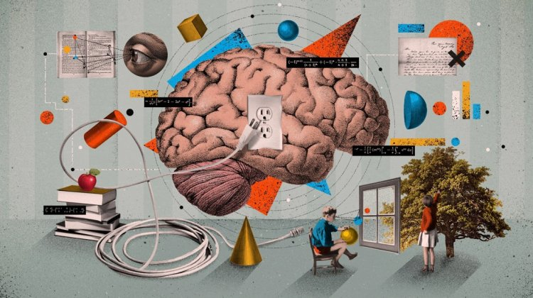 2025-in ən uğurlu 10 təhsil tədqiqatı