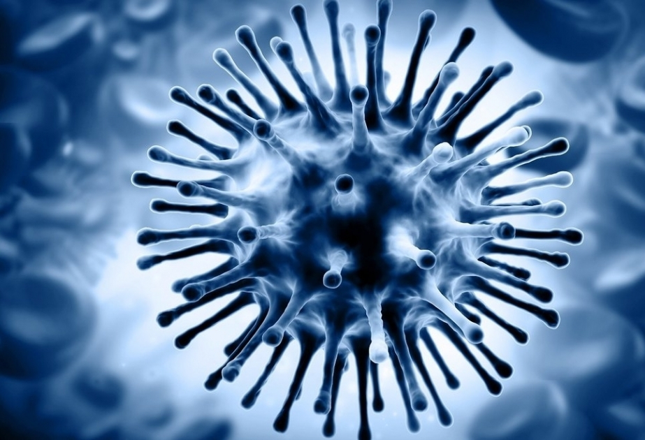 İlk dəfə qrip virusunun hüceyrələrimizə daxil olduğu görüntülənib