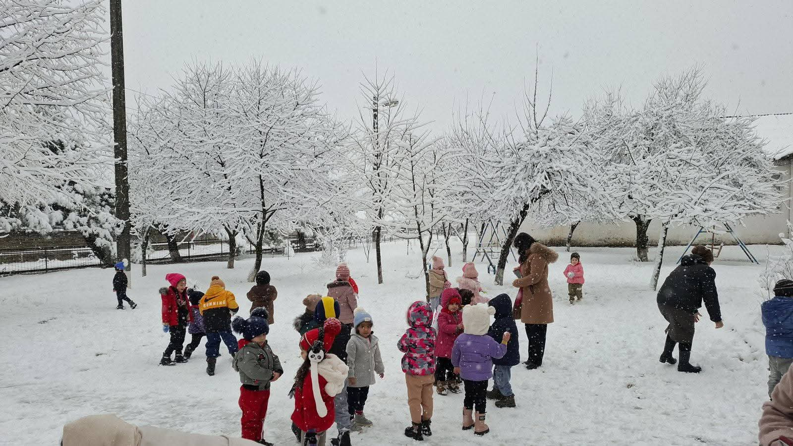 Şəki-Zaqatalada qarlı hava davamiyyətə təsir etməyib – FOTOLAR