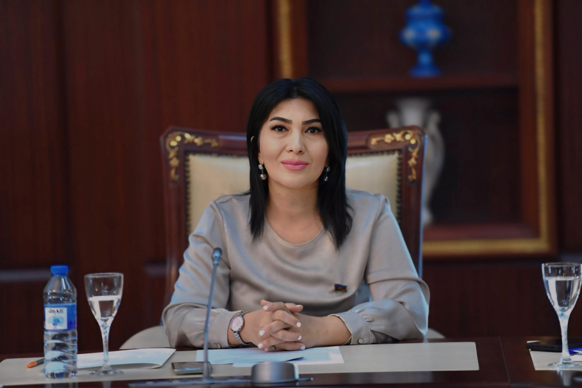 “Kitab nəşrinə sərmayə qoymaqdan çəkinməməliyik” – Deputat