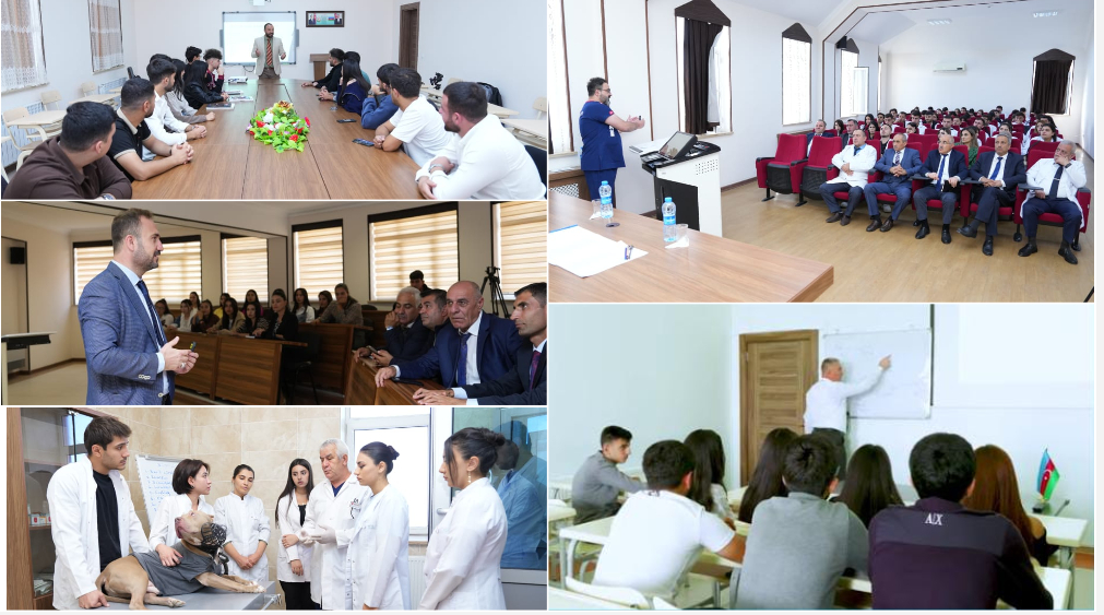 Tələbələr çox maraqlı suallar verirlər – NDU-nun əcnəbi müəllimlərinin təəssüratları - REPORTAJ